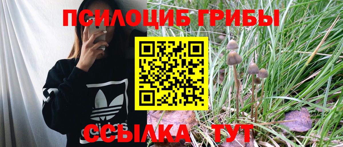 Псилоцибиновые грибы Cubensis Чебоксары